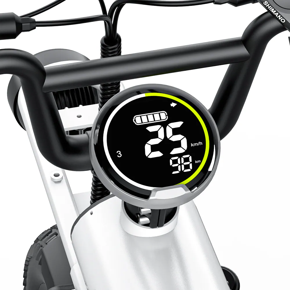 COSWHEEL 電動輔助自行車 T16｜ 48V500W｜ 15AH