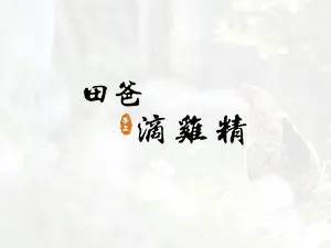 田爸手工滴雞精