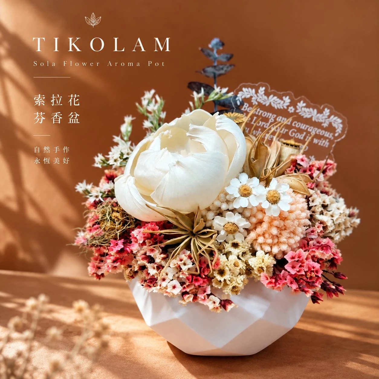 索拉花芬香盆