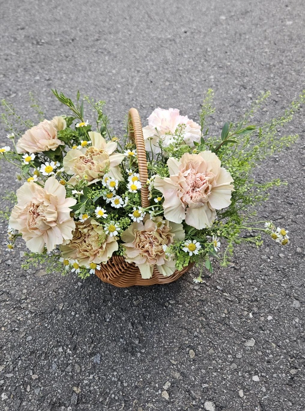 溫柔收藏-鮮花盆花