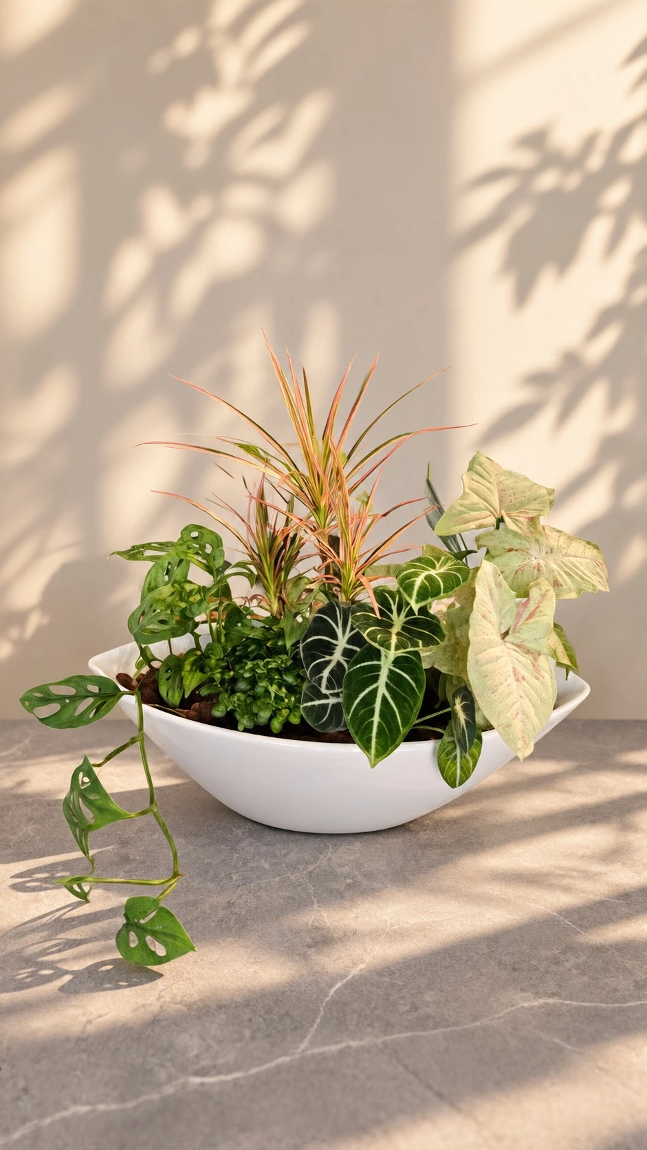 向陽而生-客訂植栽