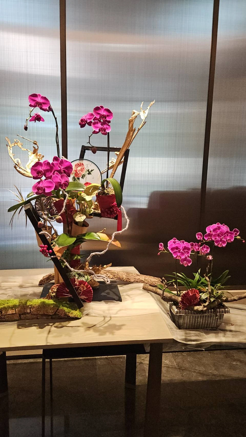 納福迎喜-蘭花植栽