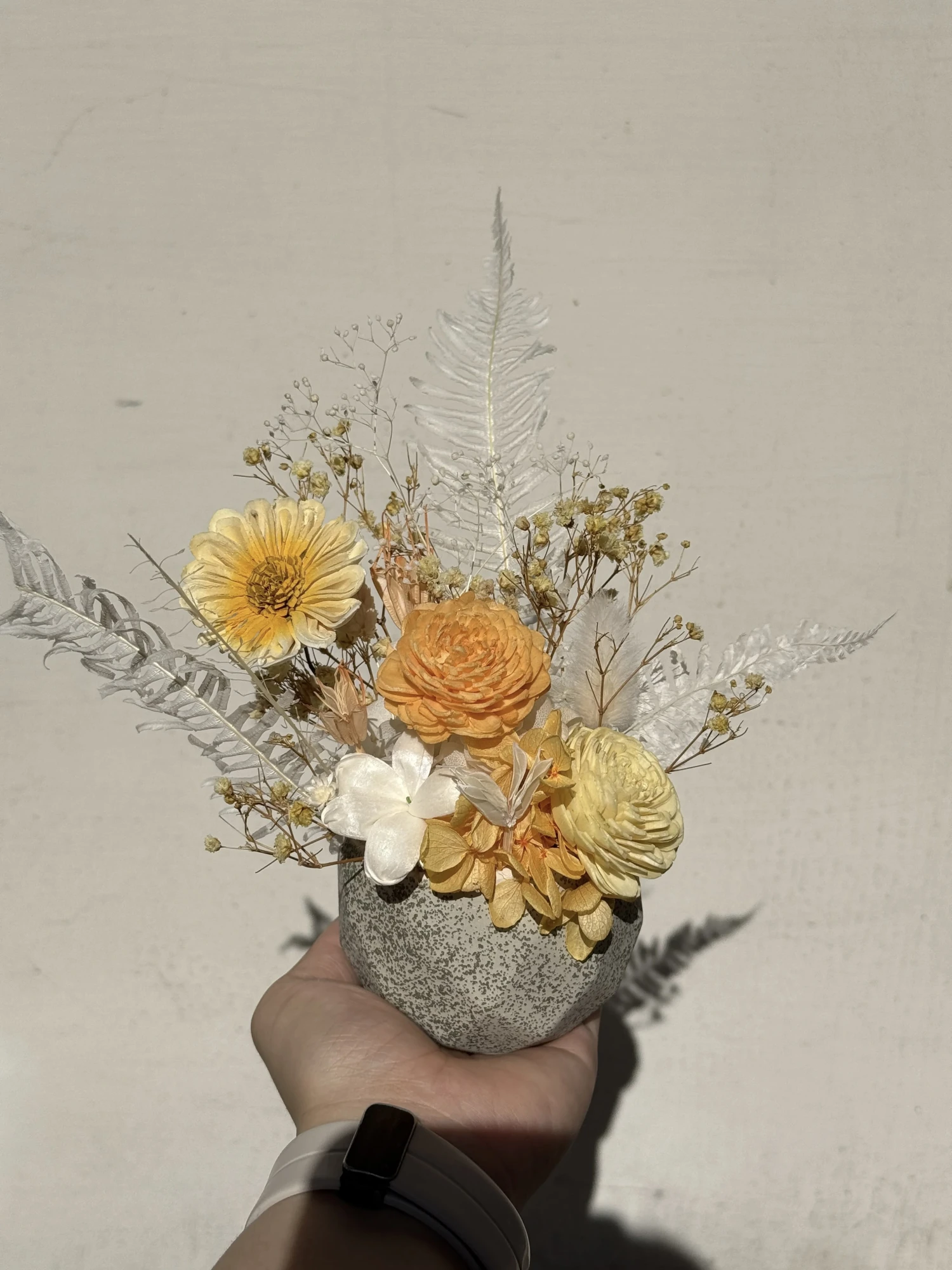 恆香花語-永生盆花