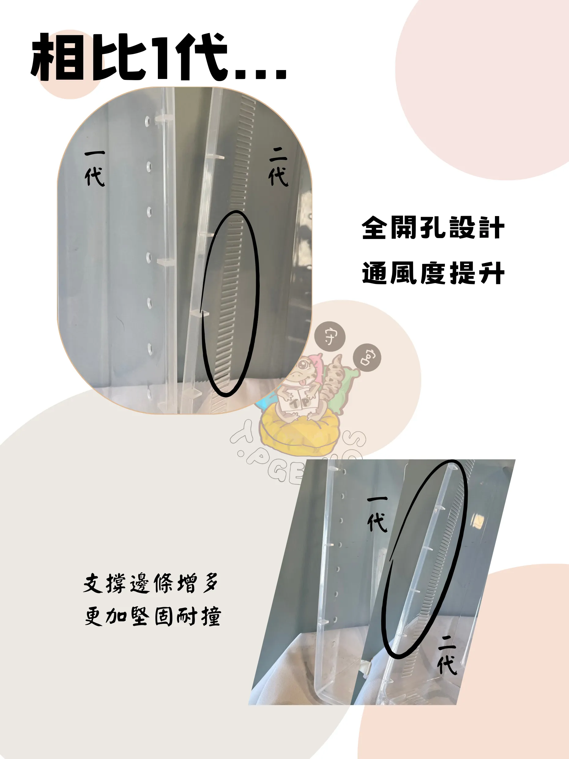 透明/黑色二代A4飼養盒 抽屜盒 守宮飼養盒 爬蟲盒 爬蟲櫃 守宮周邊 守宮用品 掌上明蛛