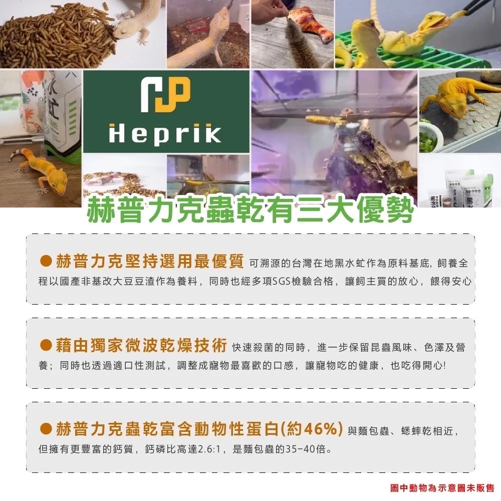Heprik赫普力克 黑水虻蟲乾