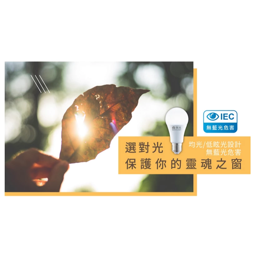 舞光 | E12 神明小夜燈 2入裝 神桌燈 光明燈 斗燈 蓮花燈 超省電 黃光 紅光