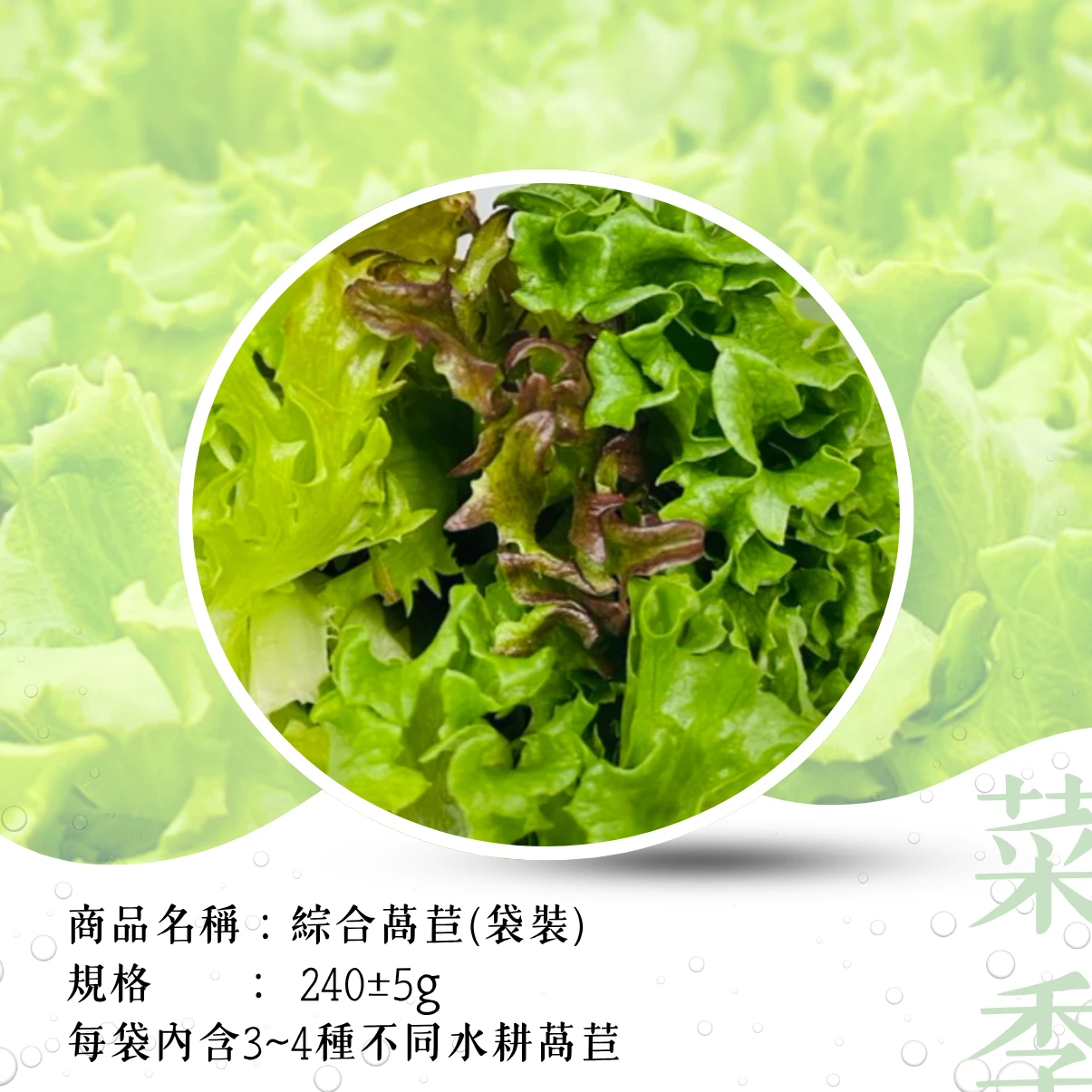 綜合萵苣
