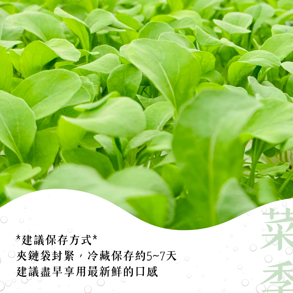 芝麻葉
