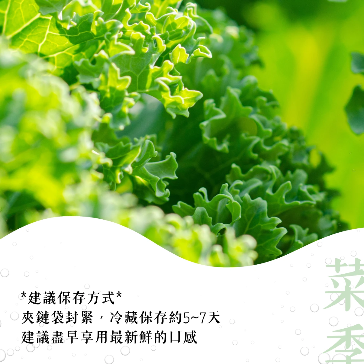 羽衣甘藍