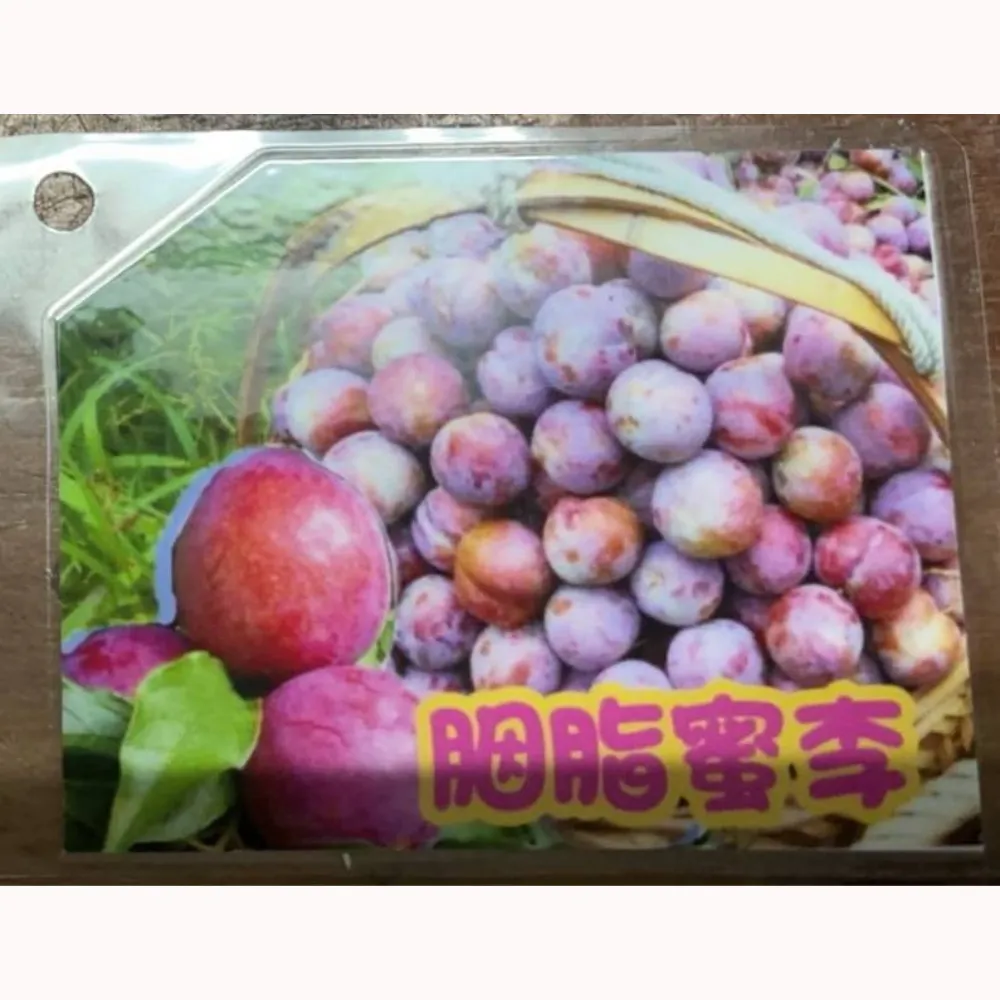 胭脂蜜李