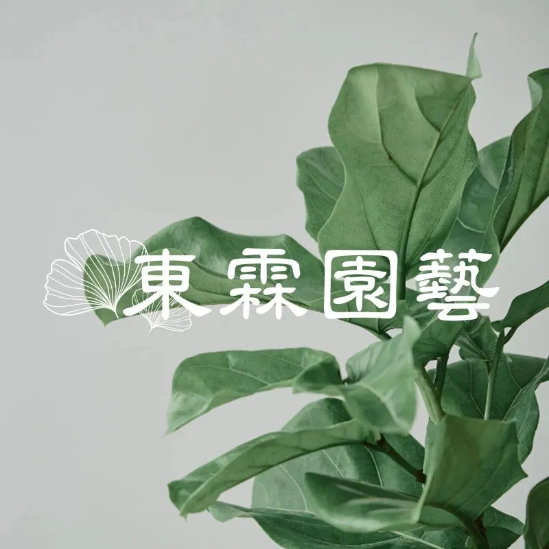 金唰嘴波羅蜜