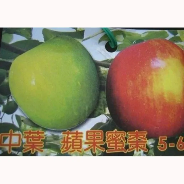 中葉蘋果蜜棗