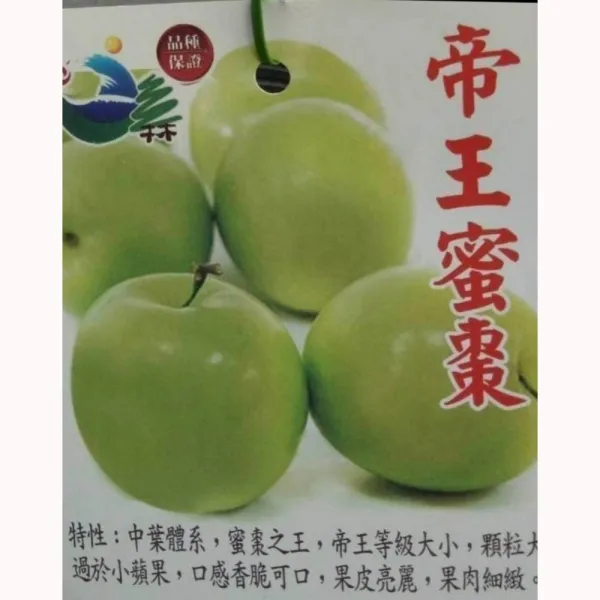 帝王蜜棗
