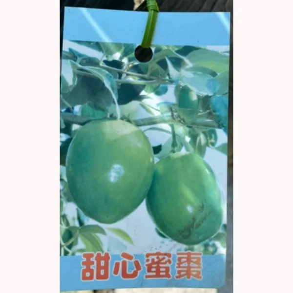 甜心蜜棗