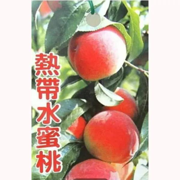 熱帶水蜜桃