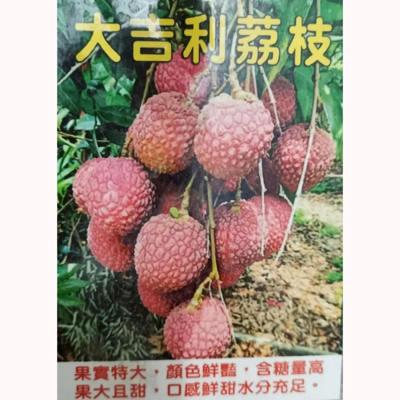 大吉利荔枝