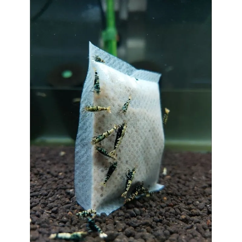 水晶蝦微生物滷包 增生絨毛藻 提高微生物量