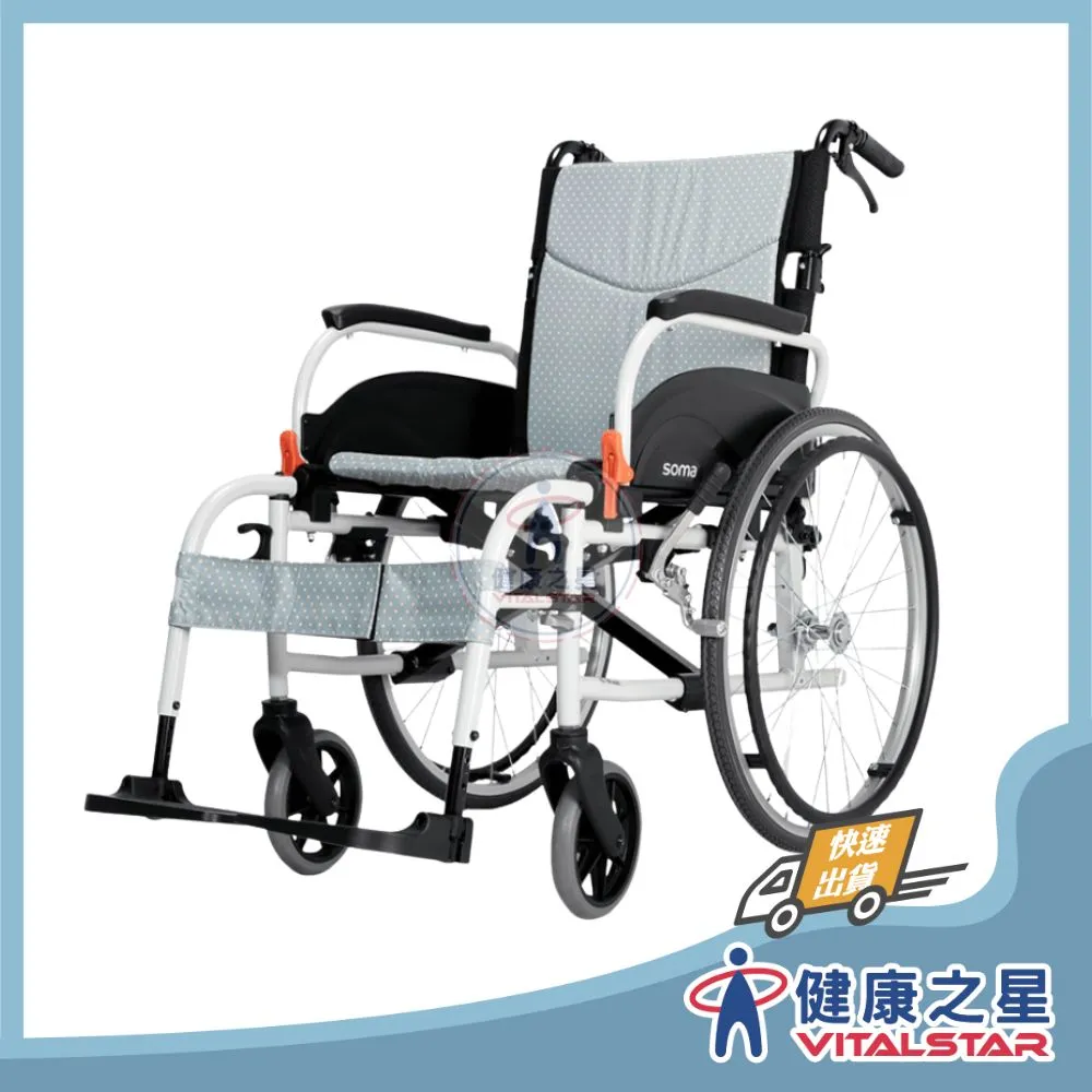  康揚 飛揚825
