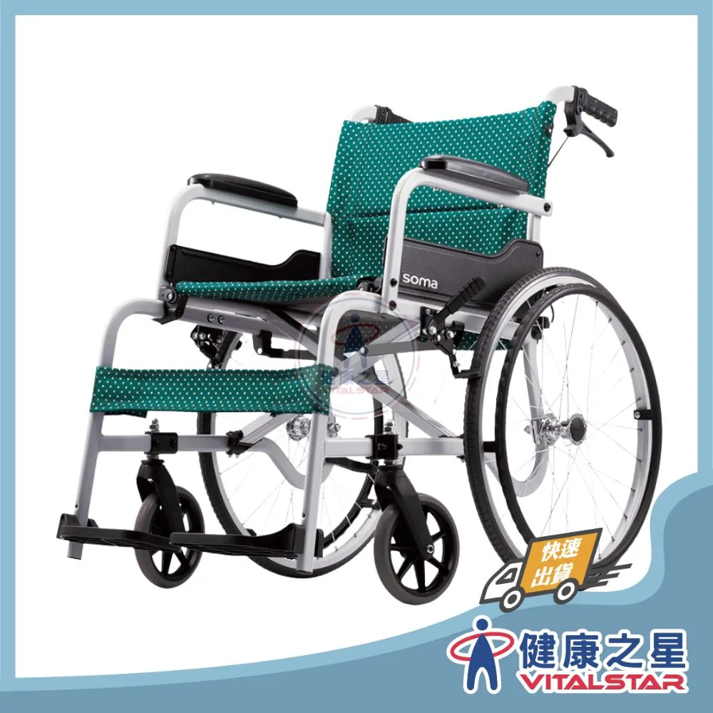  康揚 飛揚 100