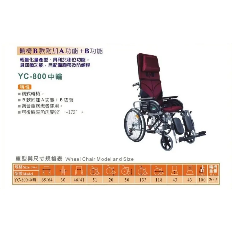 頤辰 YC-800