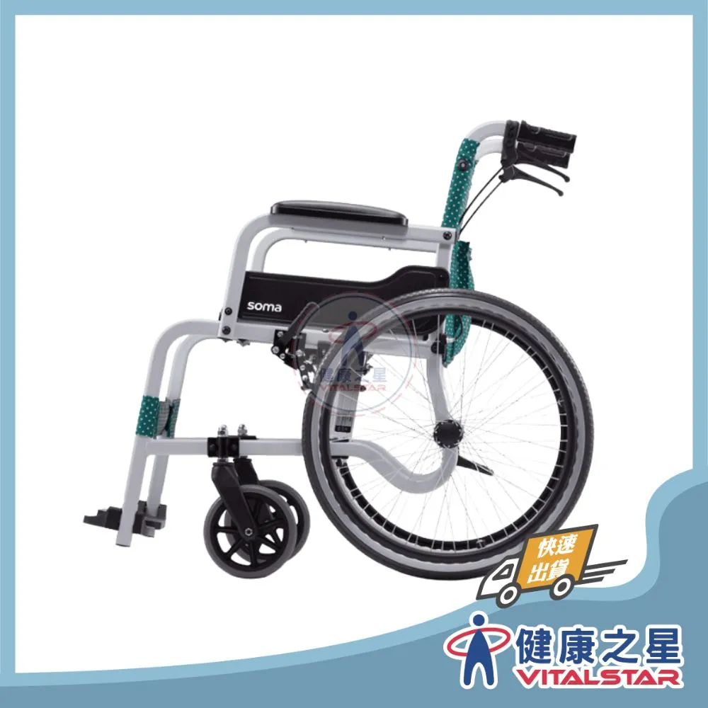  康揚 飛揚 100