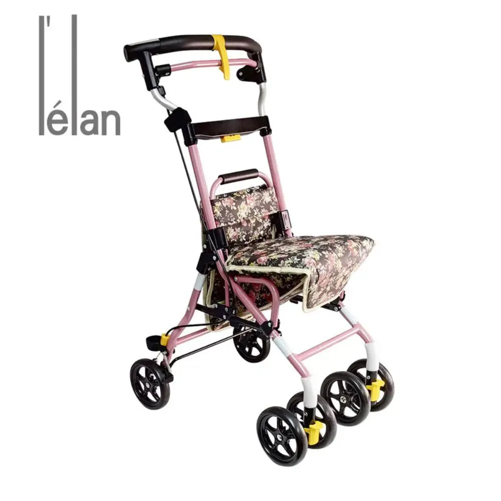 【Lelan】Freedom 103 健康散步車 黑底玫瑰 Lumi