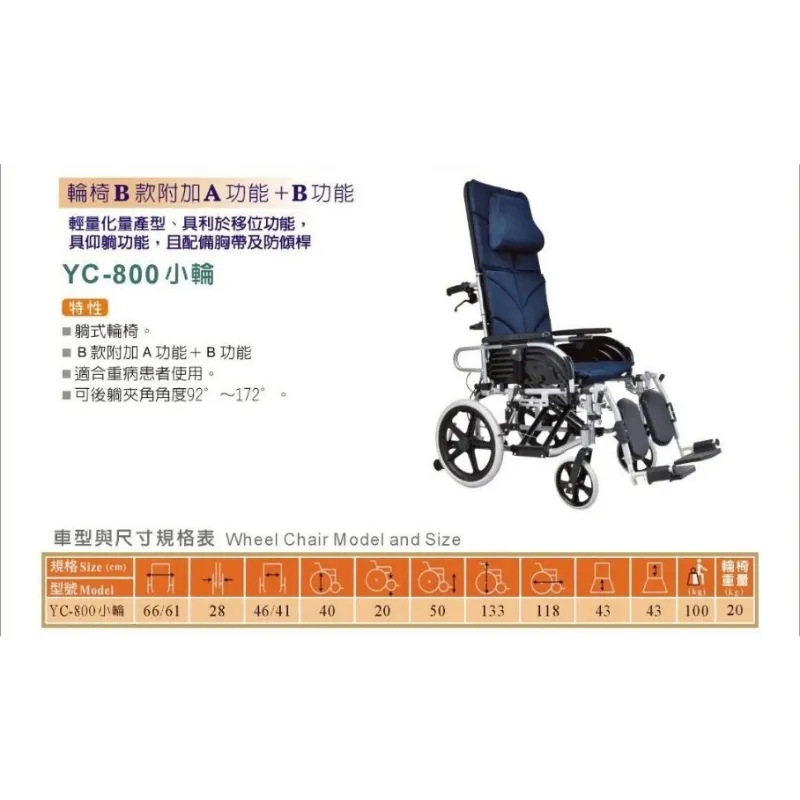 頤辰 YC-800
