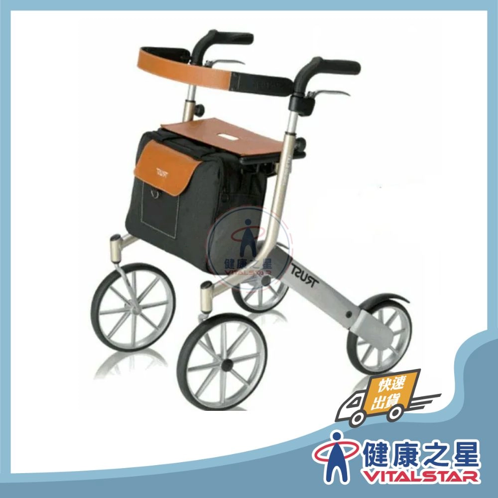 【TRUST CARE】Let's Go Out 戶外型散步推車(含安全背帶+購物袋) 黑色