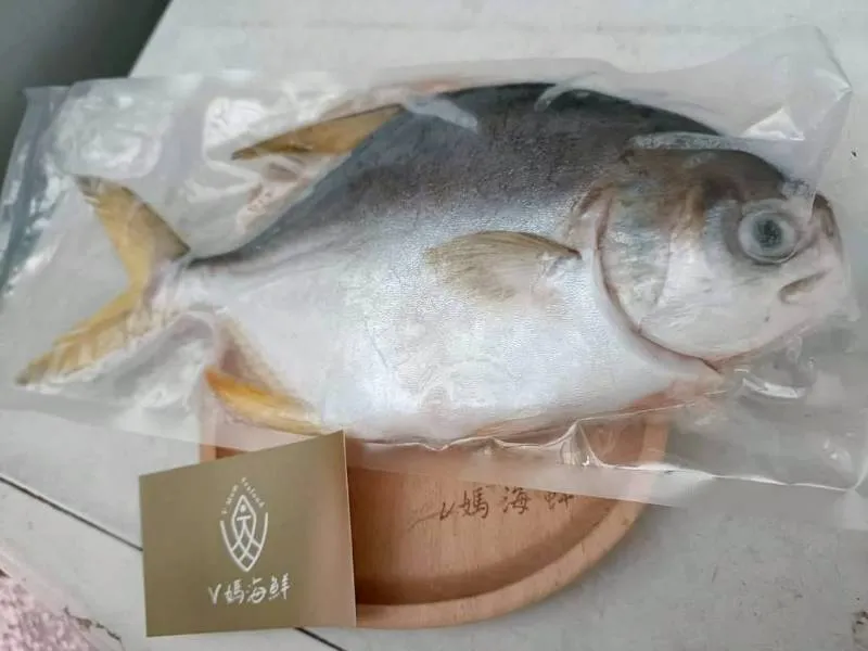 鮮嫩 頂級SGS黃金鯧魚(二去)超大隻