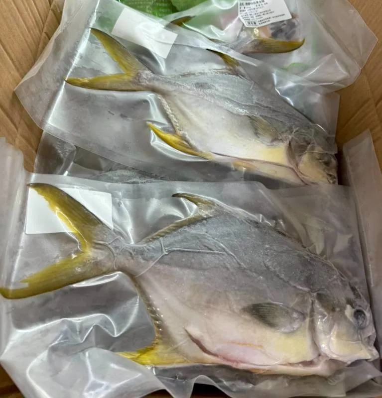 鮮嫩 頂級SGS黃金鯧魚(二去)超大隻