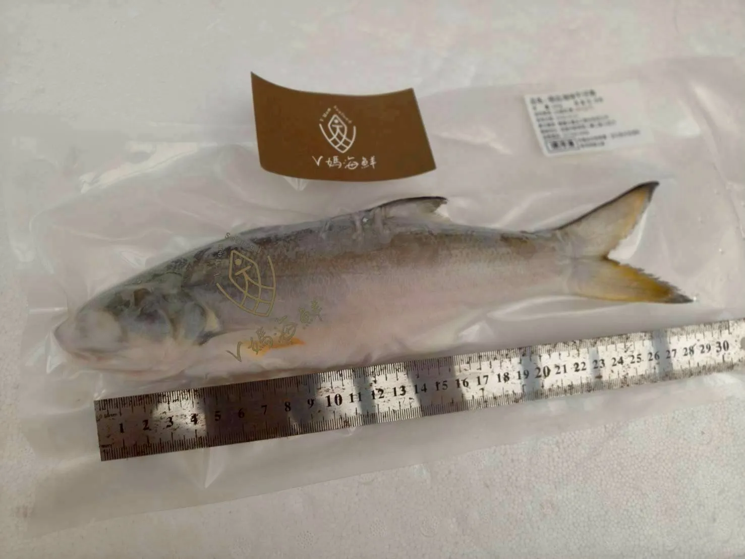 肉質細緻特選通過SGS午仔魚
