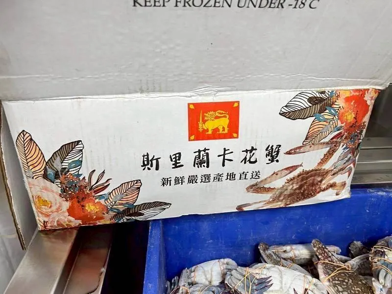斯里蘭卡花蟹（母）