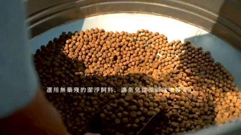無毒-肉質細緻特選 通過SGS午仔魚