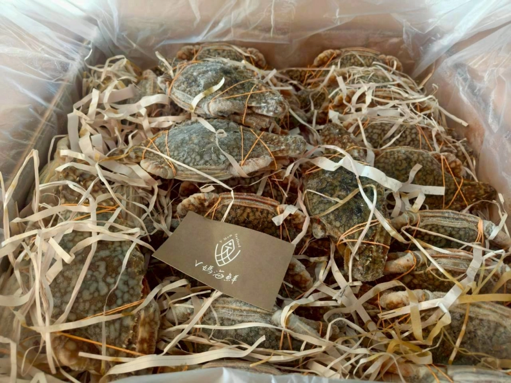 斯里蘭卡花蟹（母）