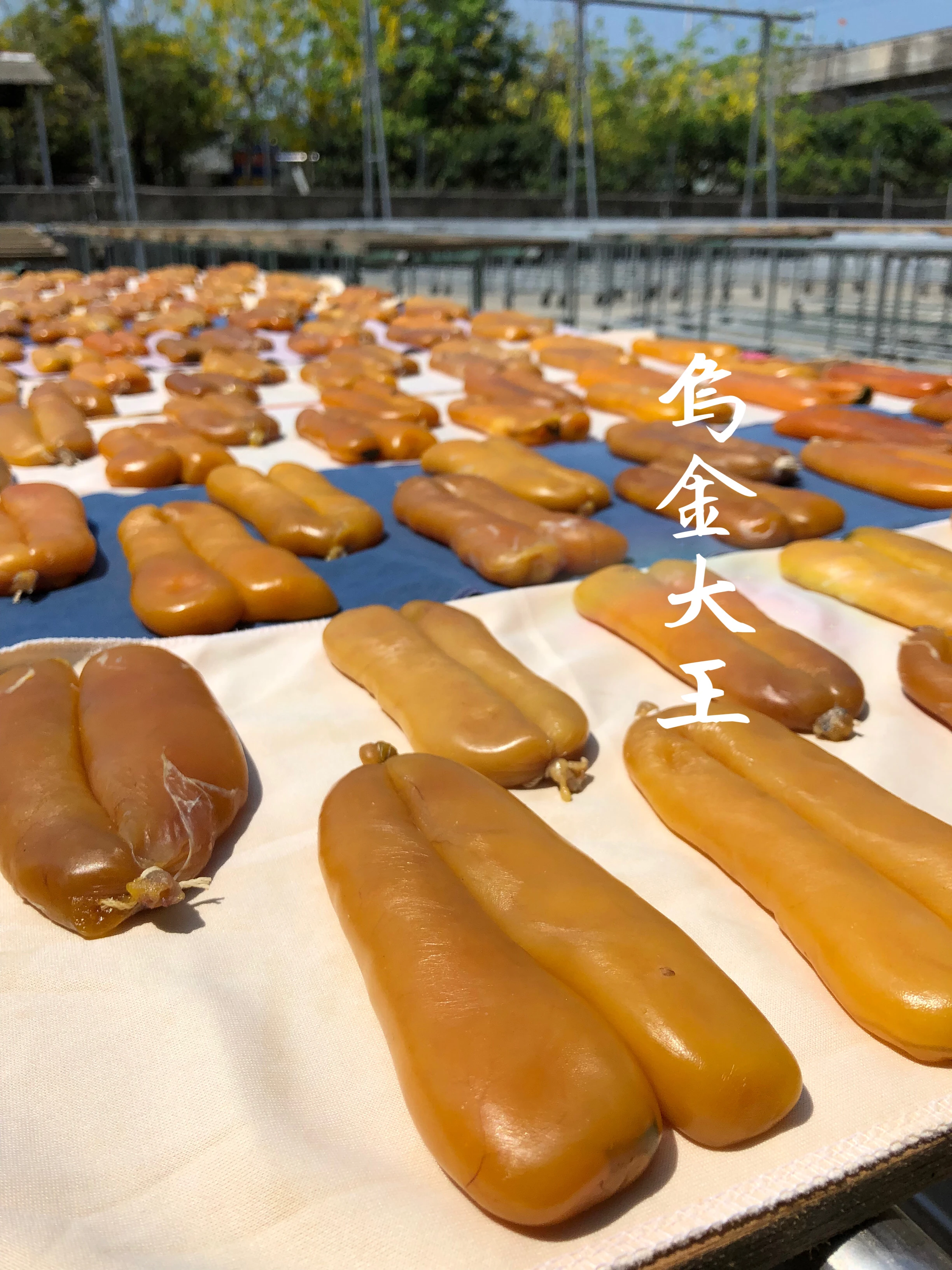 生烏魚子(3.5片一斤) 每片/單片490元