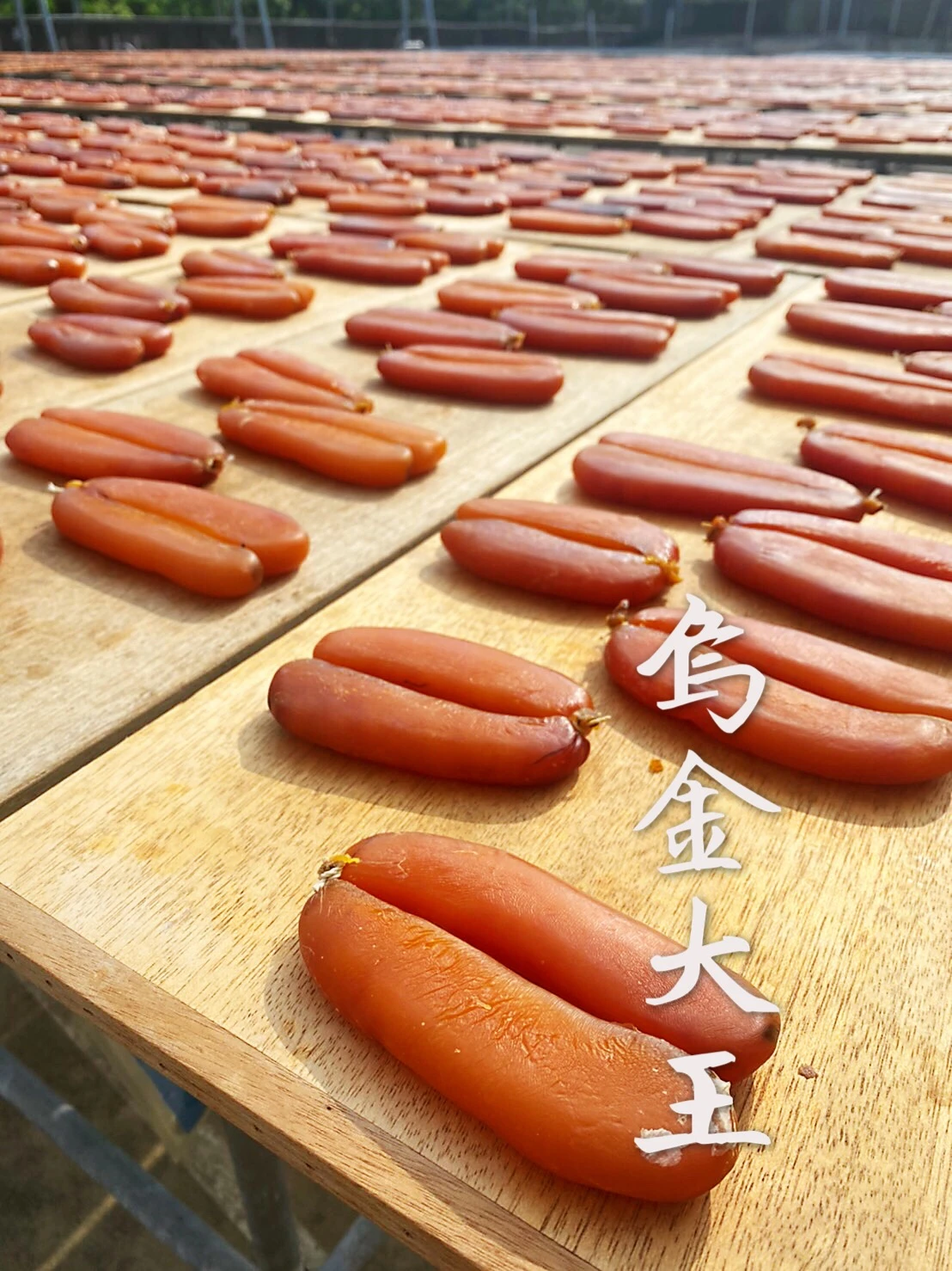 生烏魚子(3.5片一斤) 每片/單片490元