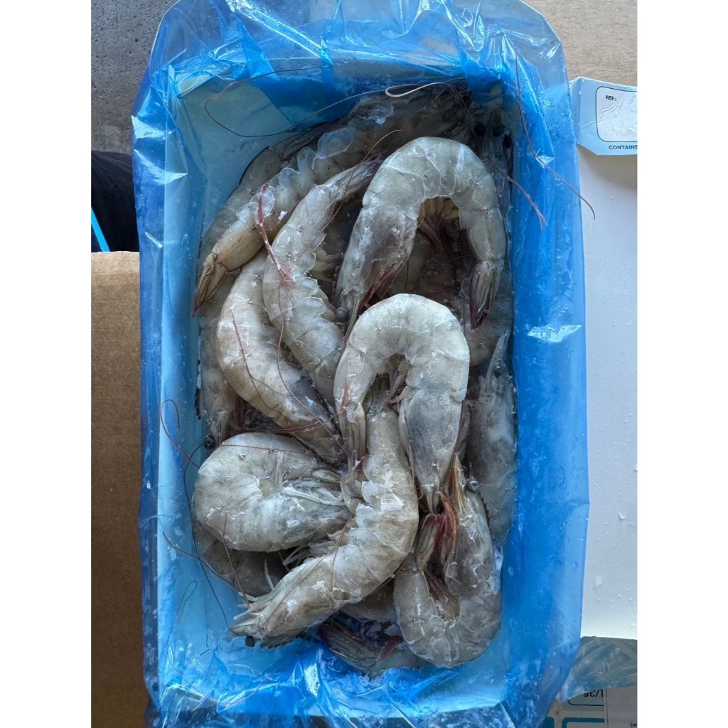 嚴選推薦 中南美洲活凍白蝦