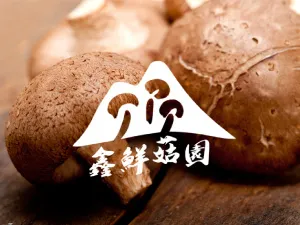 鑫鮮菇園