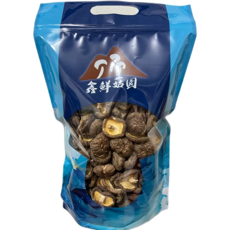 鈕釦菇-直徑1公分