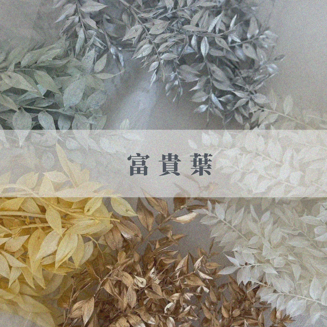 富貴葉