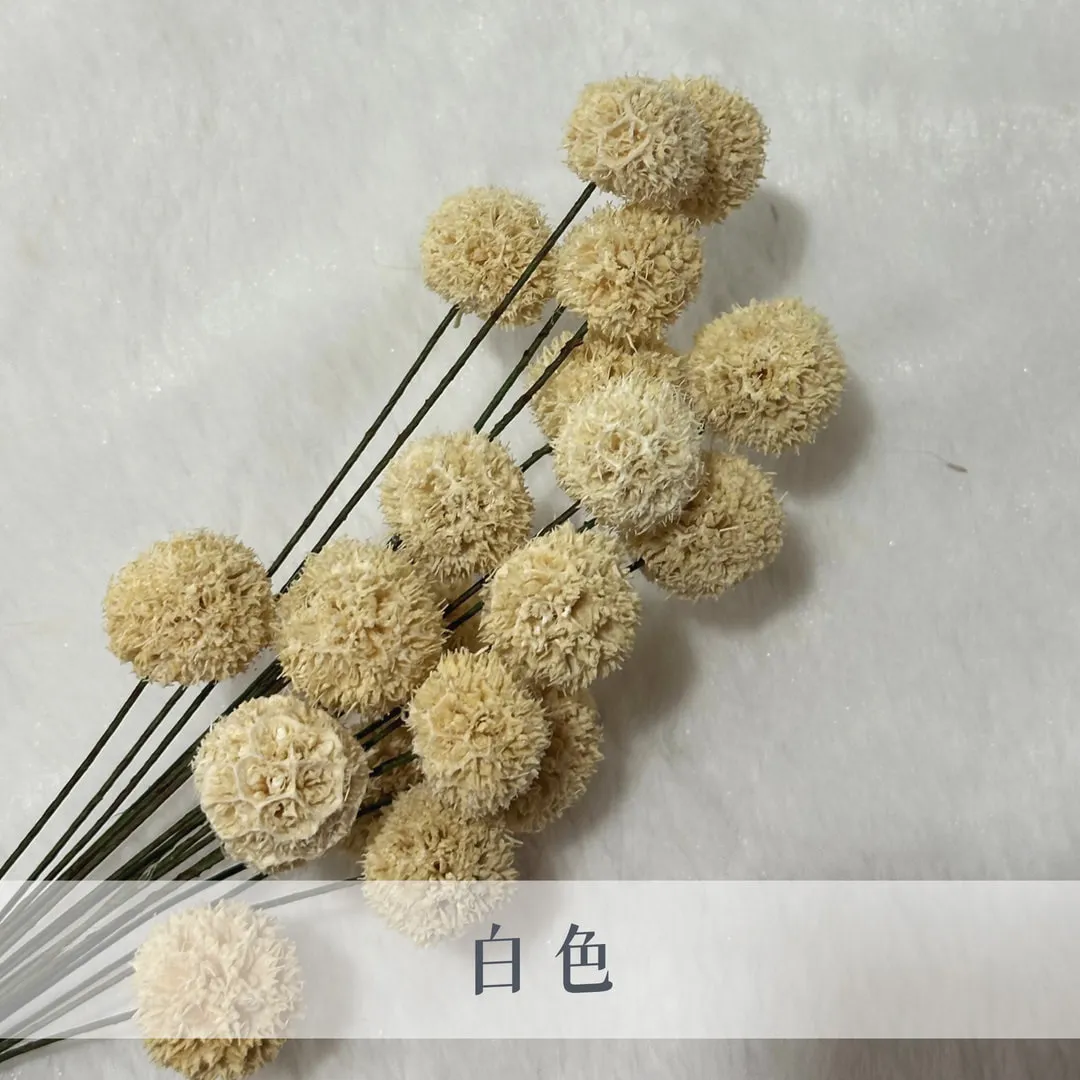 乾燥手工楓球