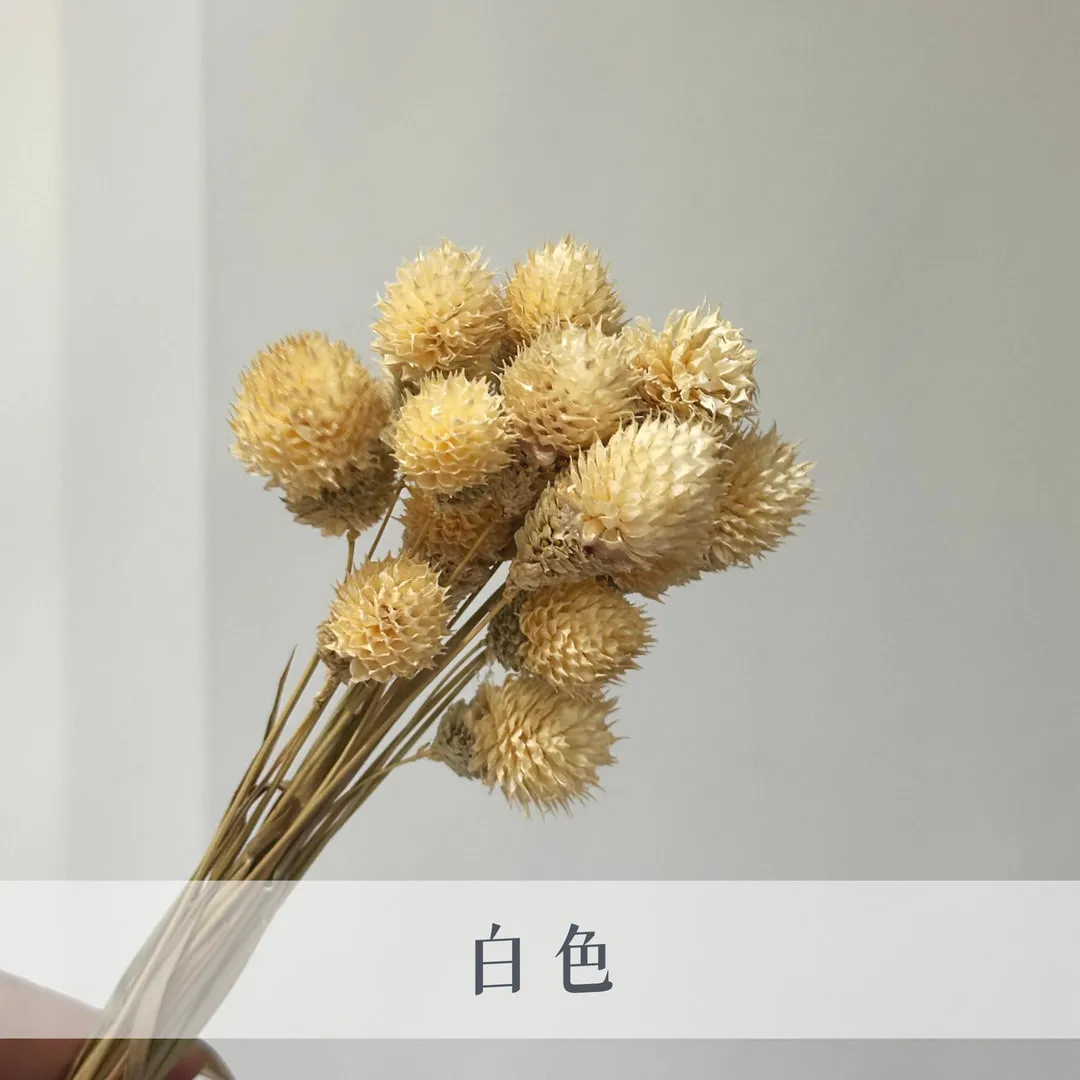 草莓果