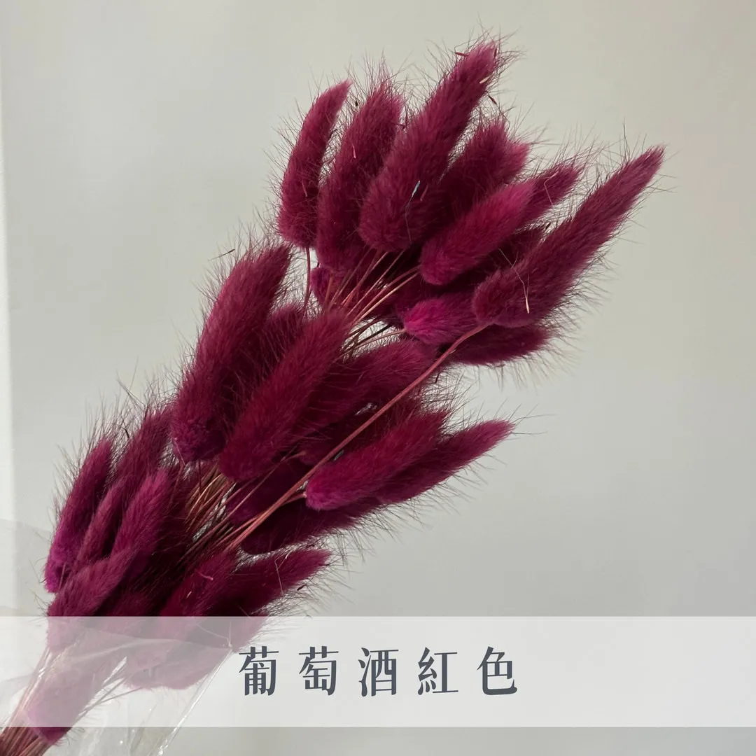 永生兔尾草（60枝裝）