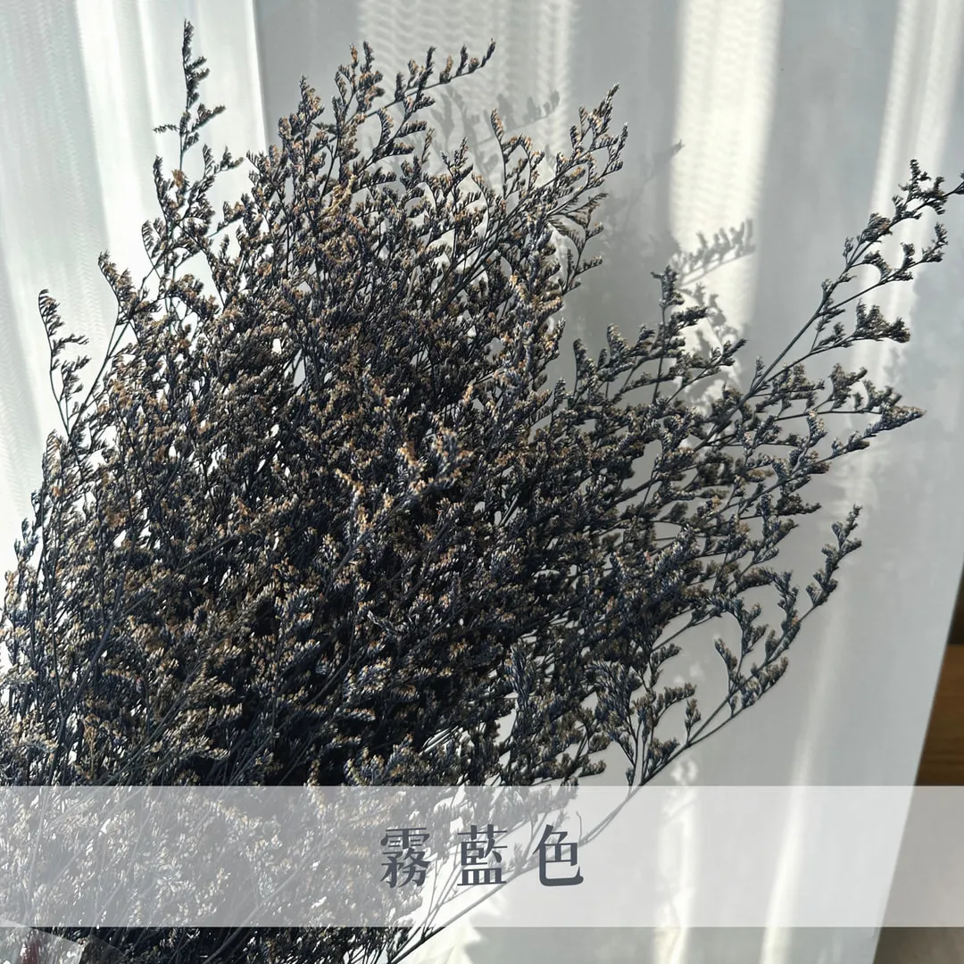 不凋卡斯比亞