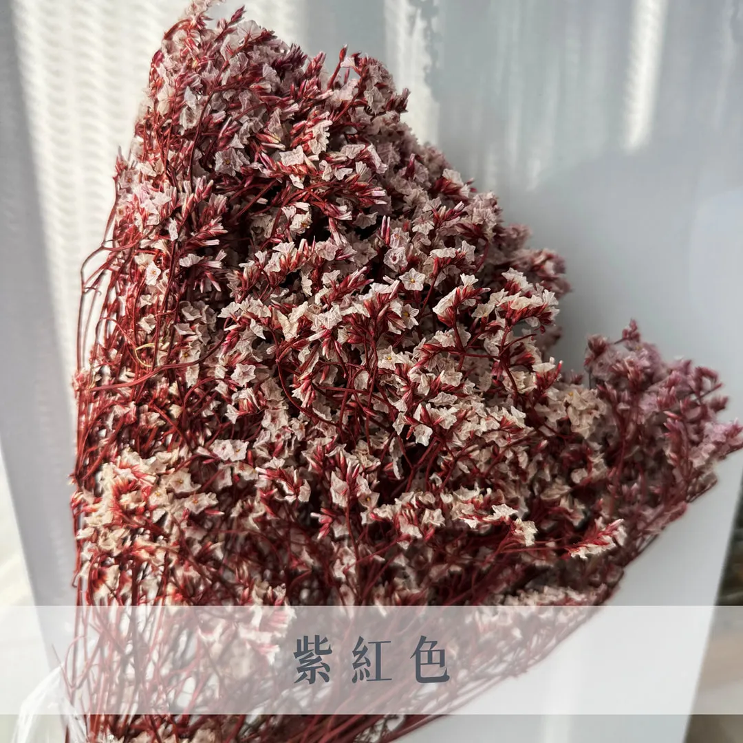 不凋水晶花