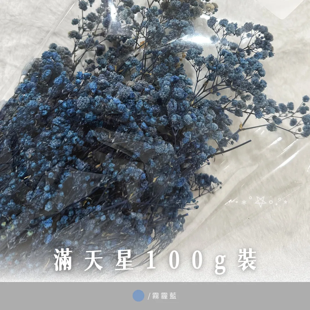 滿天星100g