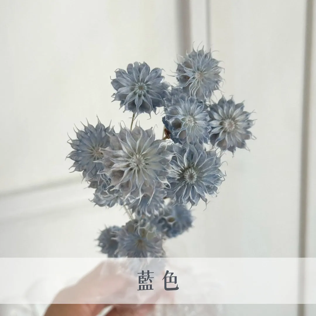 乾燥小酒盅