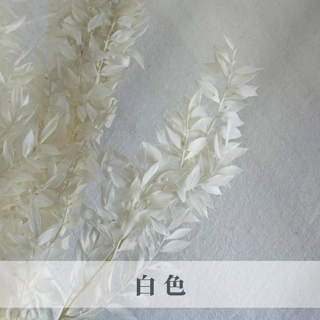 富貴葉