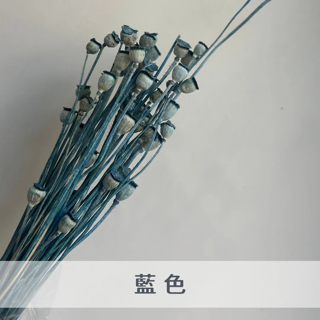 永生虞美人