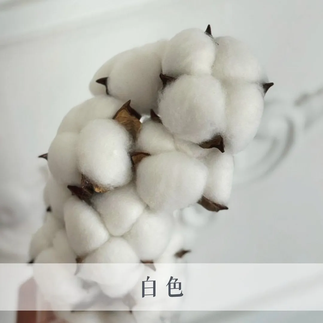 單頭棉花